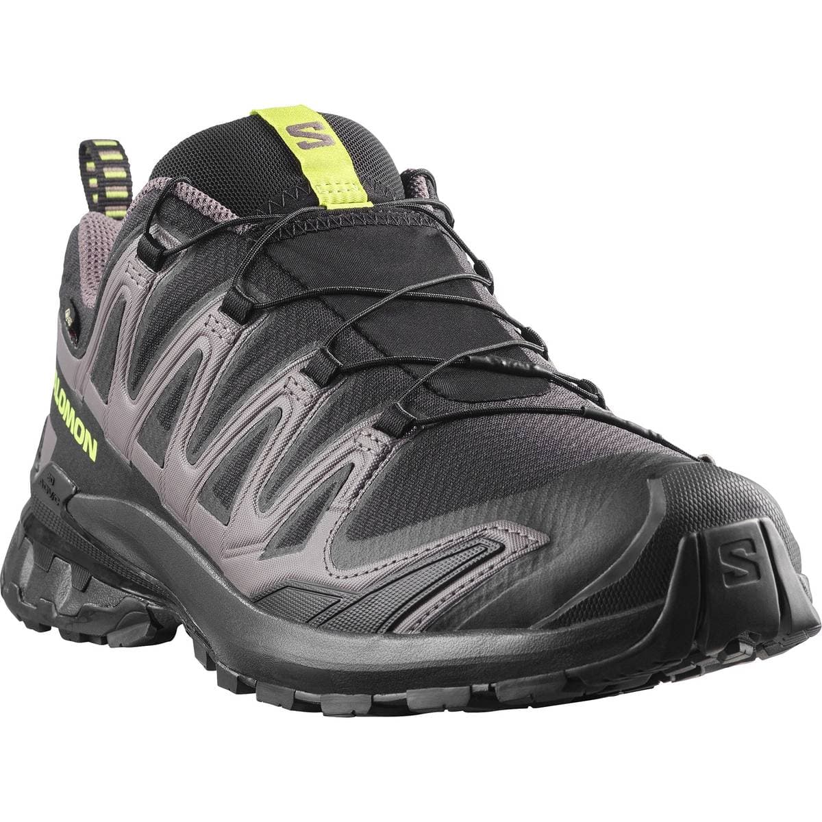 Salomon XA Pro 3D V9 GTX trail shoe