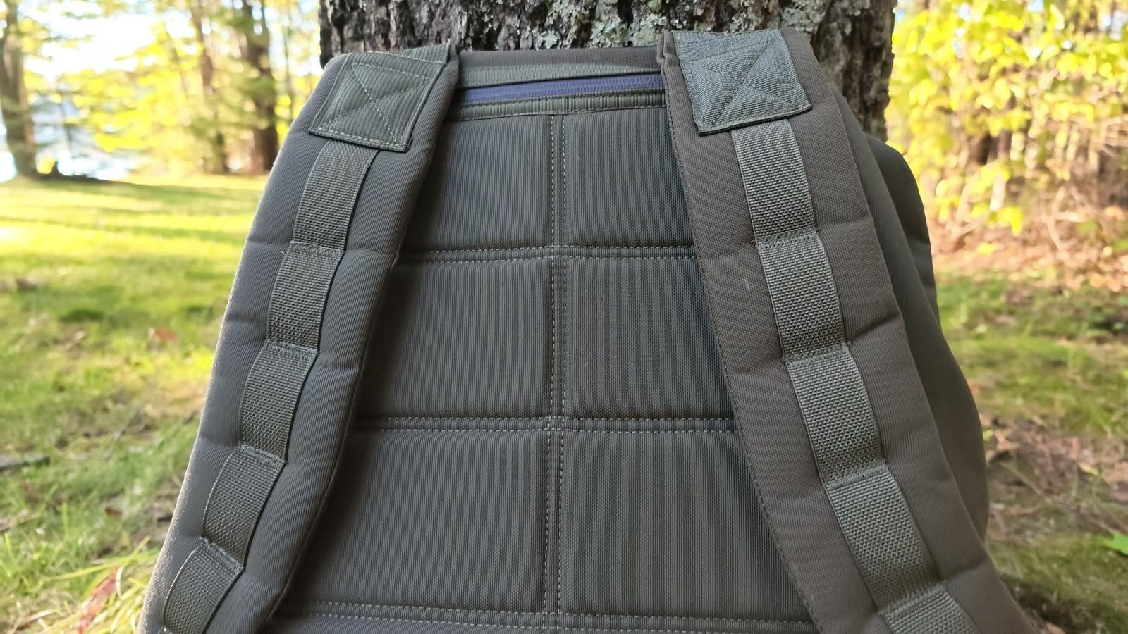 The GR1's padded back panel and shoulder straps against a tree