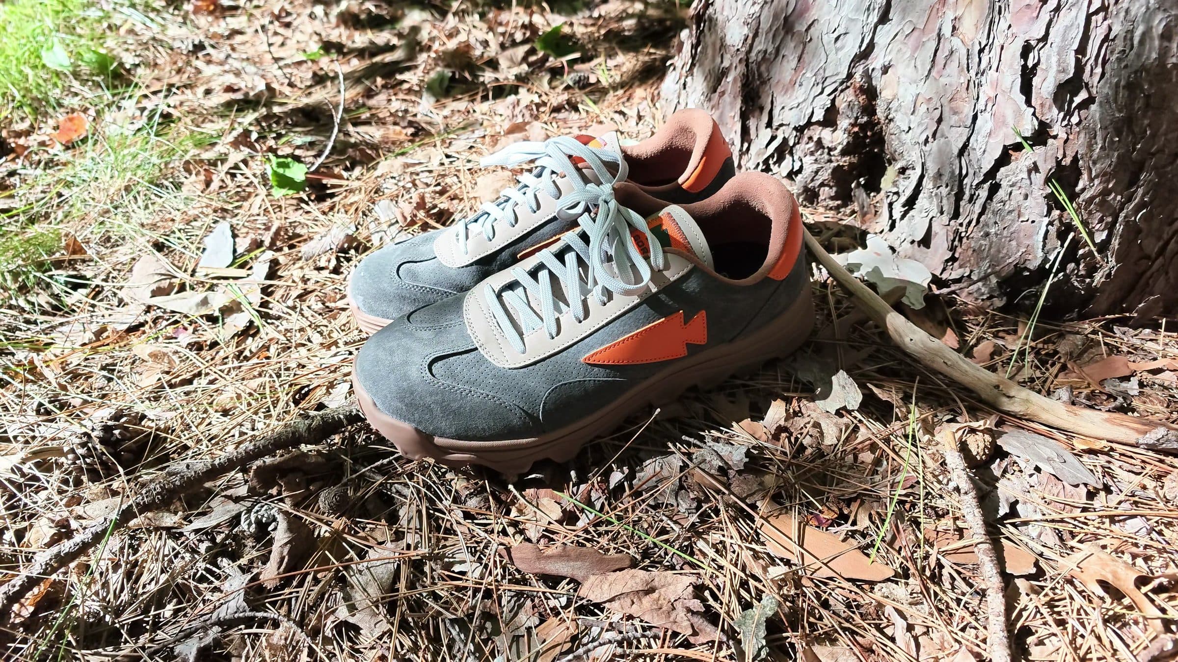 The Mackall 45s in Fog on the forest floor against a tree