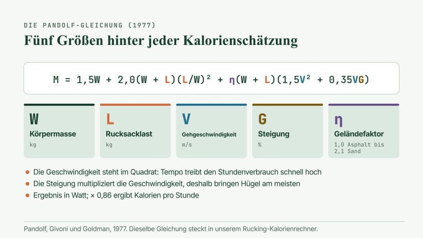 Die Pandolf-Gleichung für Gehen mit Last, M = 1,5W + 2,0(W + L)(L/W)² + η(W + L)(1,5V² + 0,35VG), mit ihren fünf Größen: Körpermasse, Rucksacklast, Gehgeschwindigkeit, Steigung und ein Geländefaktor von 1,0 auf Asphalt bis 2,1 im Sand