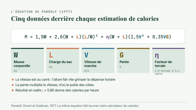 L'équation de Pandolf pour la marche chargée, M = 1,5W + 2,0(W + L)(L/W)² + η(W + L)(1,5V² + 0,35VG), avec ses cinq données : masse corporelle, charge, vitesse, pente et un facteur de terrain de 1,0 sur bitume à 2,1 dans le sable