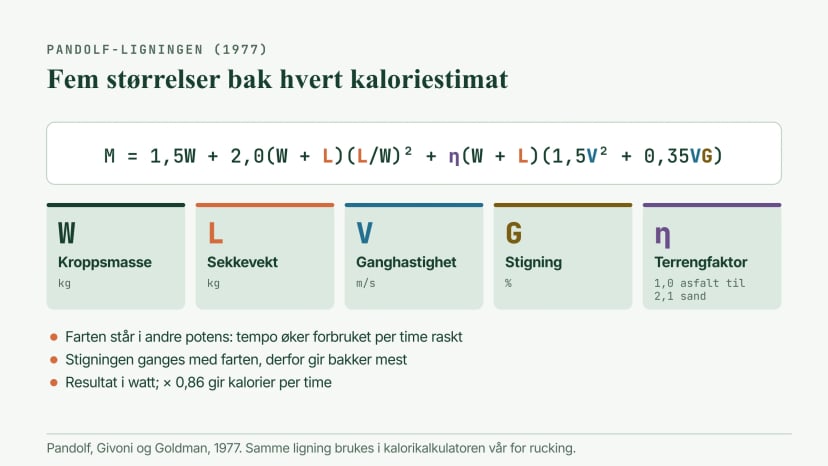 Pandolf-ligningen for gange med last, M = 1,5W + 2,0(W + L)(L/W)² + η(W + L)(1,5V² + 0,35VG), med de fem størrelsene: kroppsmasse, sekkevekt, ganghastighet, stigning og en terrengfaktor fra 1,0 på asfalt til 2,1 i sand