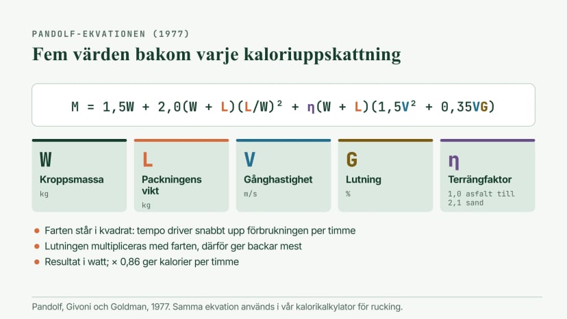 Pandolf-ekvationen för gång med last, M = 1,5W + 2,0(W + L)(L/W)² + η(W + L)(1,5V² + 0,35VG), med de fem värdena: kroppsmassa, packningens vikt, gånghastighet, lutning och en terrängfaktor från 1,0 på asfalt till 2,1 i sand