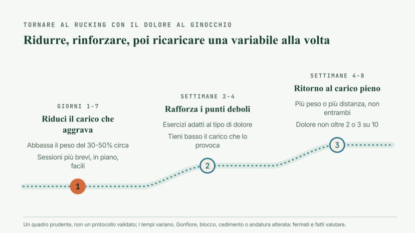 Ritorno al rucking con dolore al ginocchio in tre fasi: giorni 1-7, ridurre il carico che aggrava abbassando il peso del 30-50 per cento su sessioni brevi e in piano; settimane 2-4, rafforzare i punti deboli con esercizi adatti; settimane 4-8, tornare al carico pieno una variabile alla volta