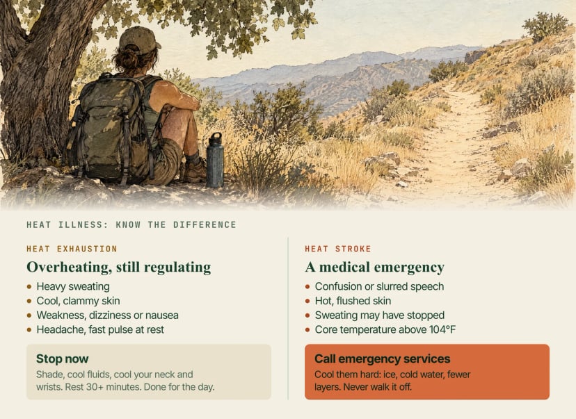 Illustration of a rucker resting in tree shade beside a sunbaked trail, with two panels comparing heat exhaustion (heavy sweating, cool clammy skin, dizziness or nausea: stop, shade, fluids, rest) and heat stroke (confusion, hot flushed skin, sweating may stop, core above 104°F: call emergency services and cool aggressively)