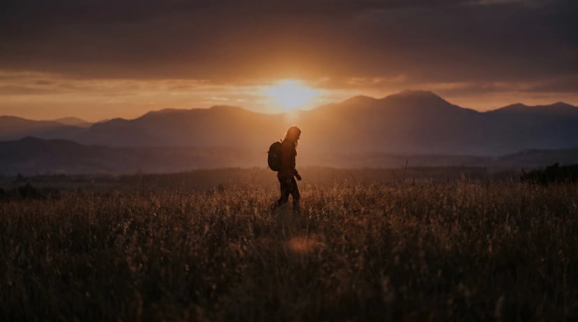 Hiker walking through a golden meadow