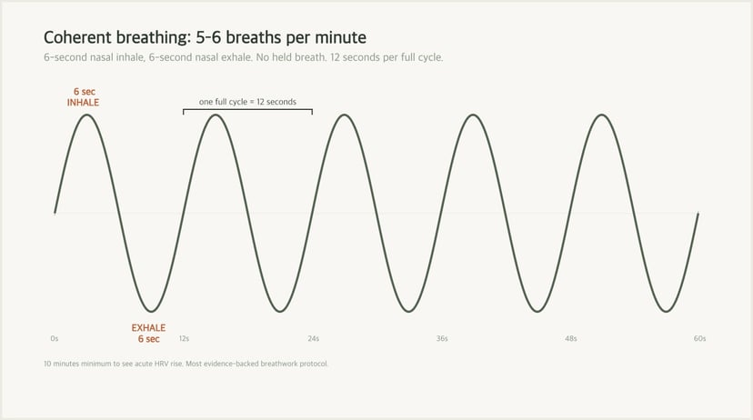 Slow breathing pattern with six-second inhale and exhale phases